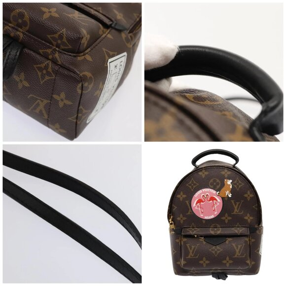 LOUIS VUITTON Monogram Palm Springs MINI Backpack